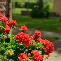 outside borgocasalvento (34)